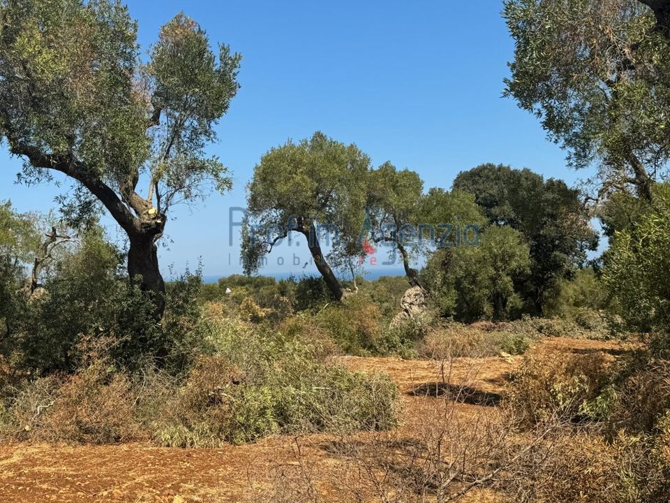Helårsgrund i Carovigno, Brindisi - foto 5